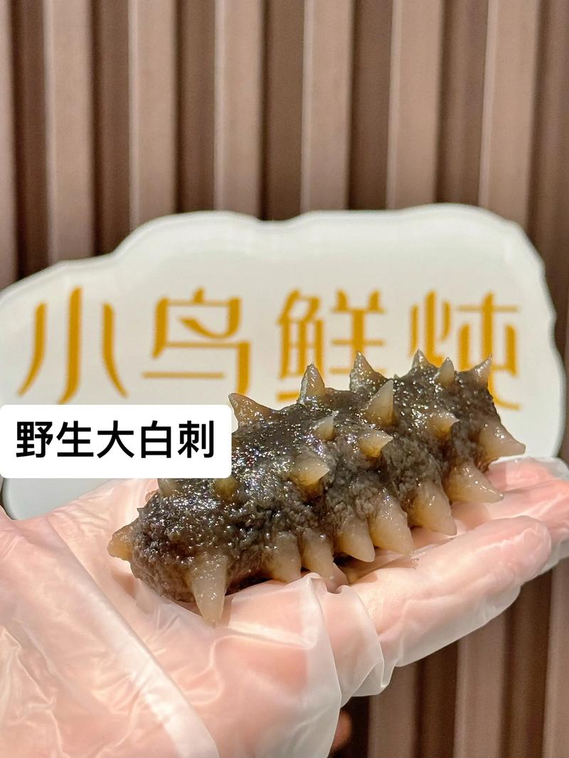 日照海参多少钱一斤？-图3