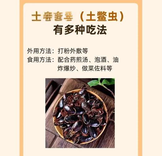 土元哪个品种口感最佳？-图2