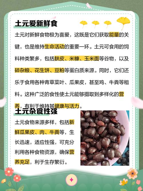 土元哪个品种口感最佳？-图3