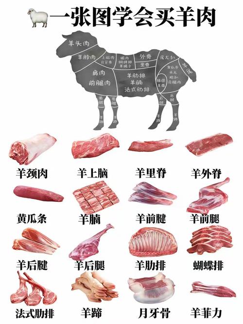 羊品种如何育成？-图3