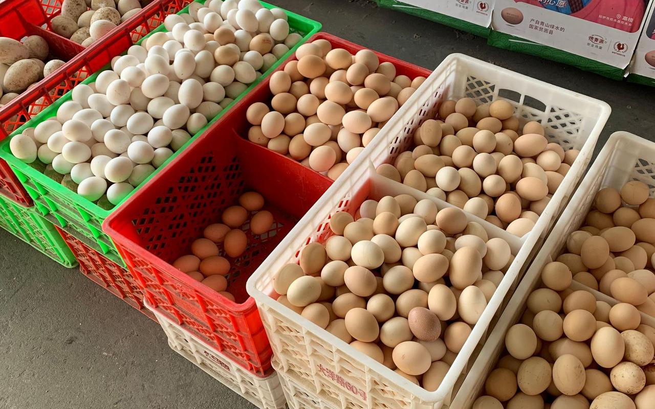 黄骅鸡蛋今日批发价多少钱?-图2 黄骅鸡蛋今日批发价多少钱?-图2