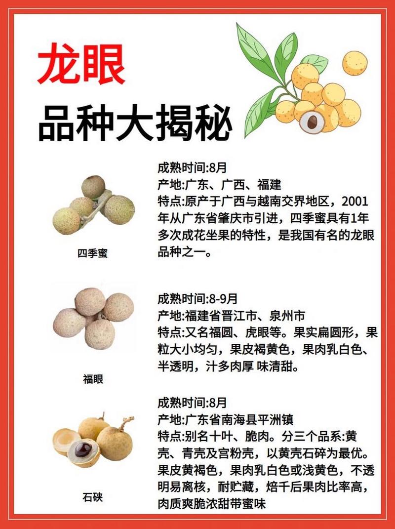 龙眼有哪些常见品种？-图1