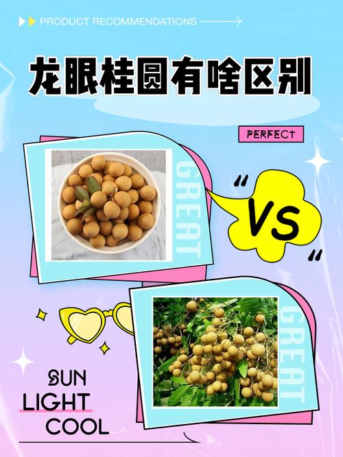 龙眼有哪些常见品种？-图2