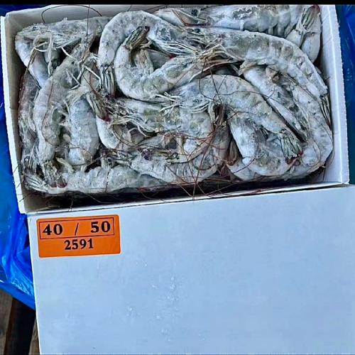 今日南美白对虾价格多少?-图2 今日南美白对虾价格多少?-图2