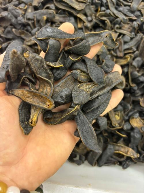 安徽亳州水蛭收购价现在多少？-图3