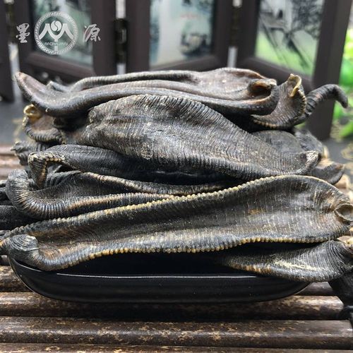 哪些水蛭品种具药用价值?-图3 哪些水蛭品种具药用价值?-图3