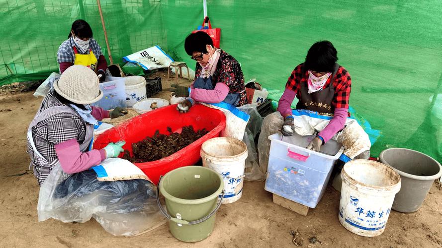 云南蟾蜍养殖技术培训学什么？-图3