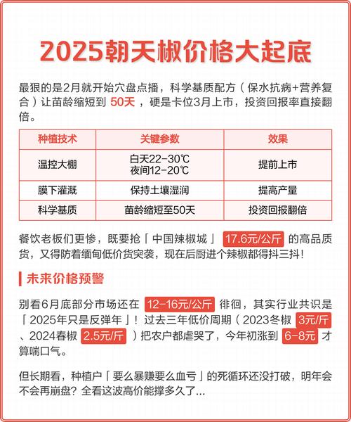 今年朝天椒价格行情如何？-图1