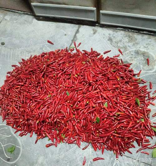 今年朝天椒价格行情如何？-图3