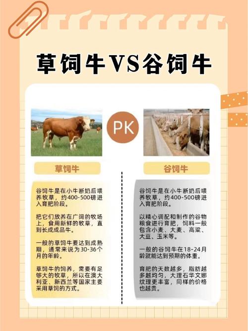 肉牛品种改良,究竟为了啥?-图1 肉牛品种改良,究竟为了啥?-图1
