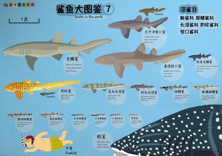 大白沙是什么品种？怎么养好？-图1