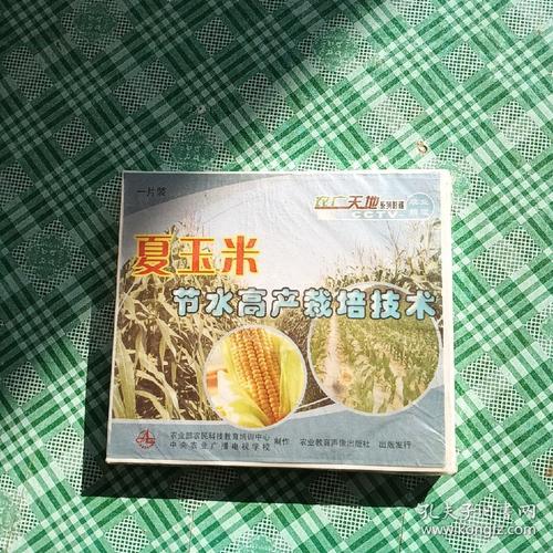 玉米高产栽培技术视频有哪些要点？-图2