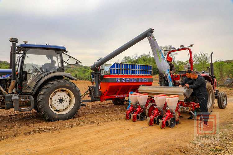 玉米高产栽培技术视频有哪些要点？-图3