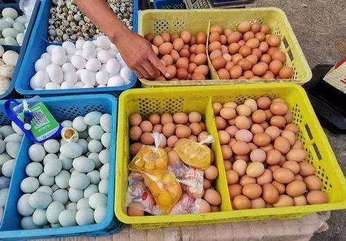大连鸡蛋今日批发价多少？-图1