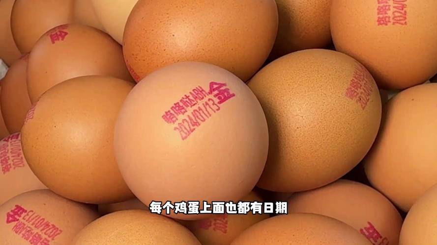 大连鸡蛋今日批发价多少？-图2