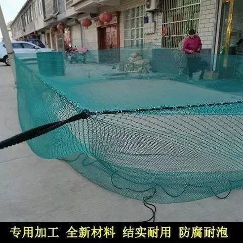 广西网箱草鱼批发价现在多少？-图1