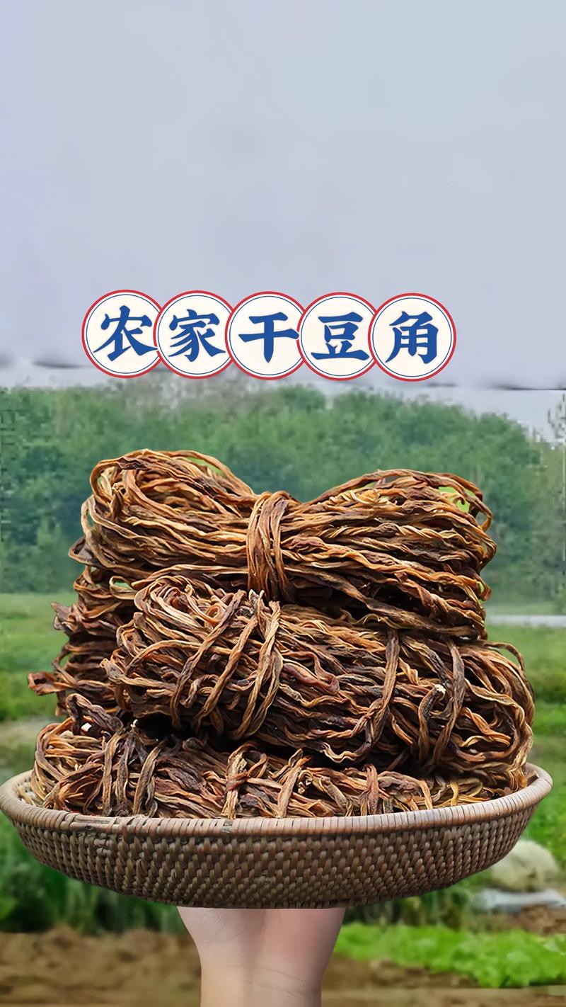 晾晒选哪种豆角品种好？-图1