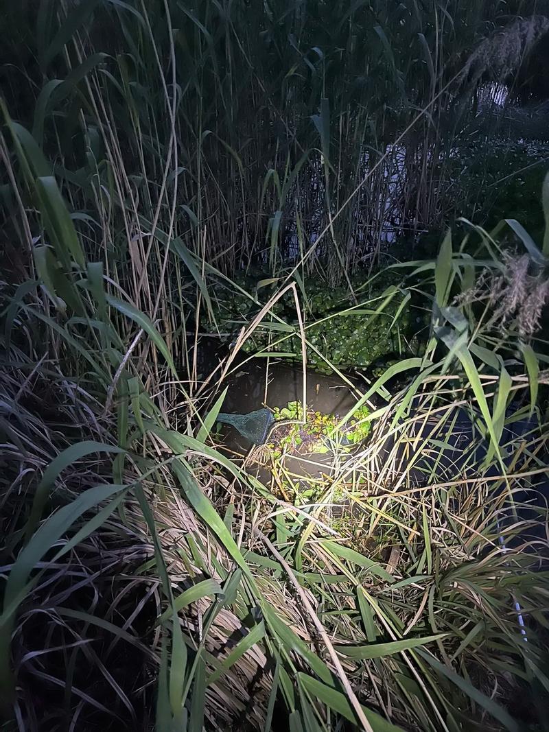 黄鳝泥鳅混养咋管理？关键技巧有哪些？-图2