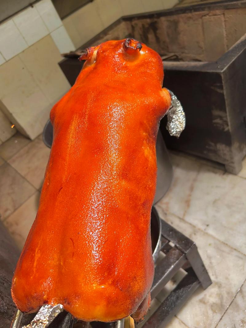 猪品种那么多，哪种最好吃？-图1