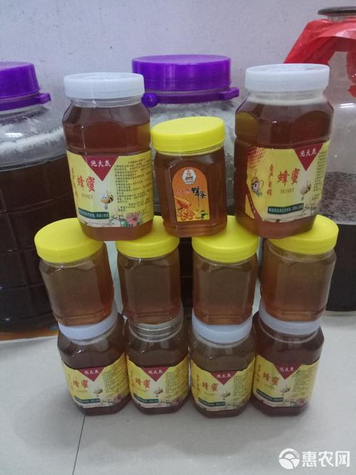 中蜂品种图片及价格多少？-图3