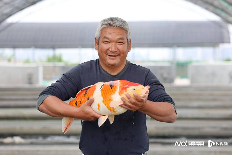 锦鲤养殖技术员，门槛高吗？-图2