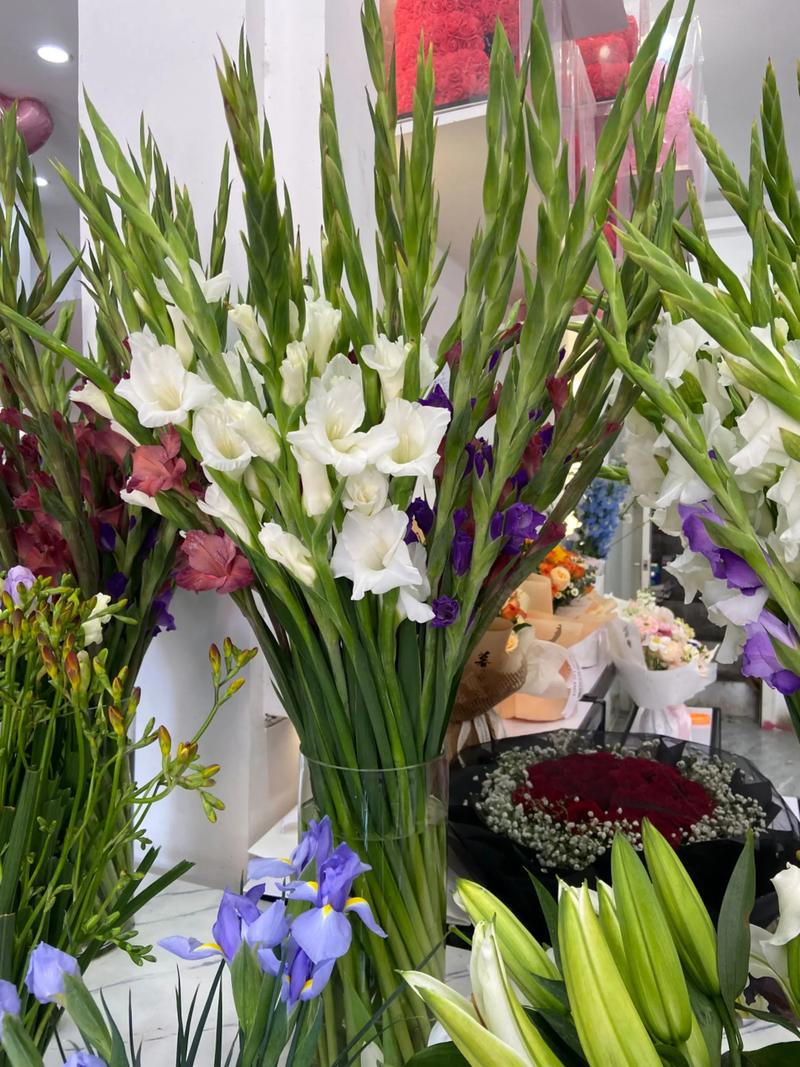 哪些兰花品种适合做插花？-图2