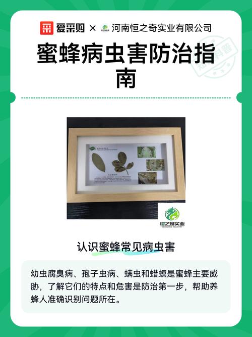 如何科学防治蜜蜂病虫害？-图1