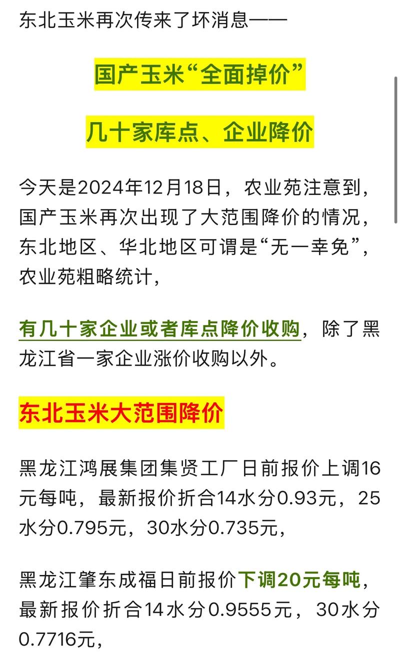 东北玉米最新行情价多少？-图2