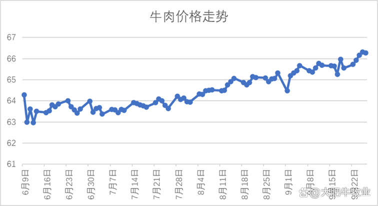 肉牛价格今日行情如何？-图2