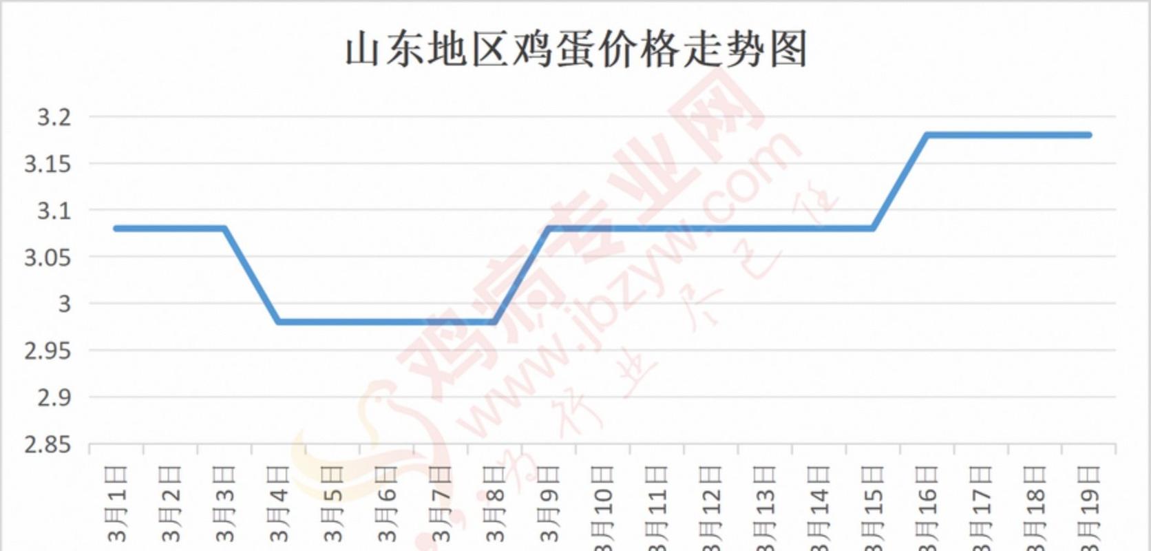 山东鸡蛋价格最新行情如何？-图1