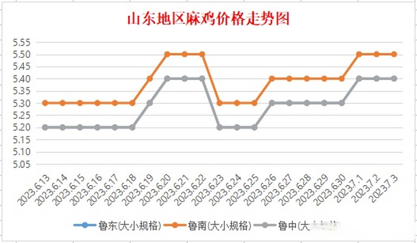 青脚麻鸡价格行情如何？-图1