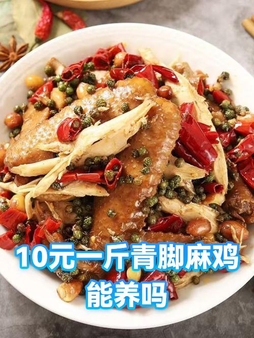 青脚麻鸡价格行情如何？-图2