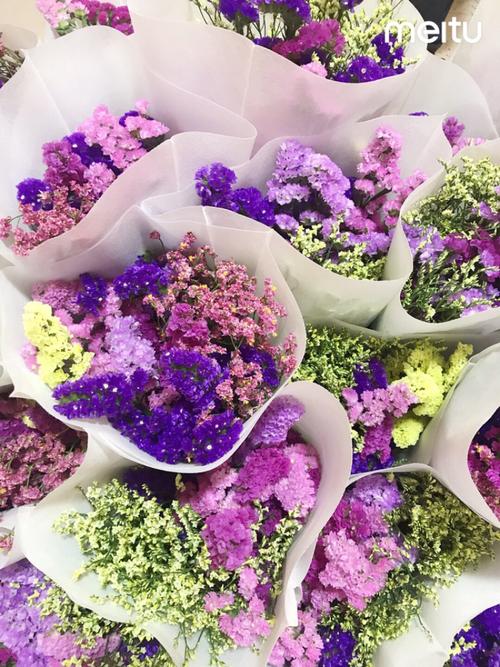 勿忘我品种有哪些？-图2