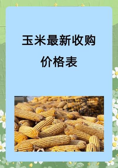 淮北玉米最新行情价多少？-图1