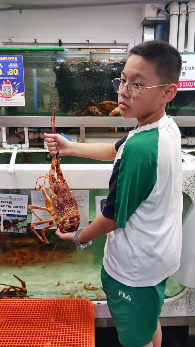 澳大利亚当地龙虾价格为何差异大？-图1