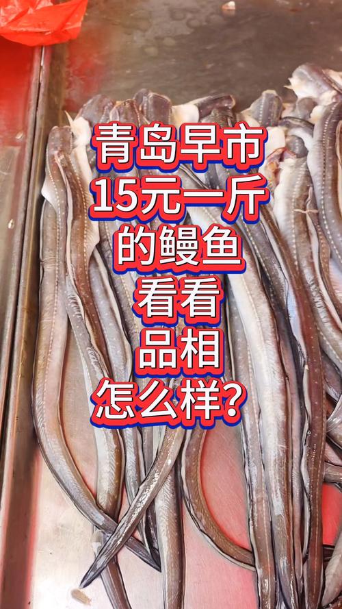 2025鳗鱼批发价会涨还是跌？-图2