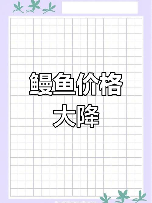 2025鳗鱼批发价会涨还是跌？-图3