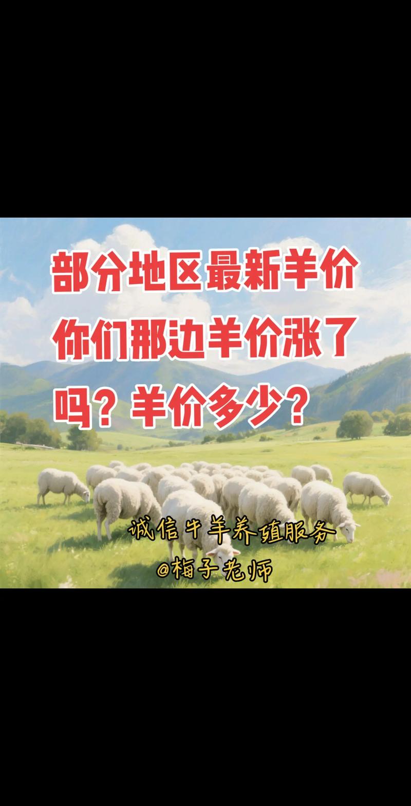 羊肉价格何时会涨？-图2
