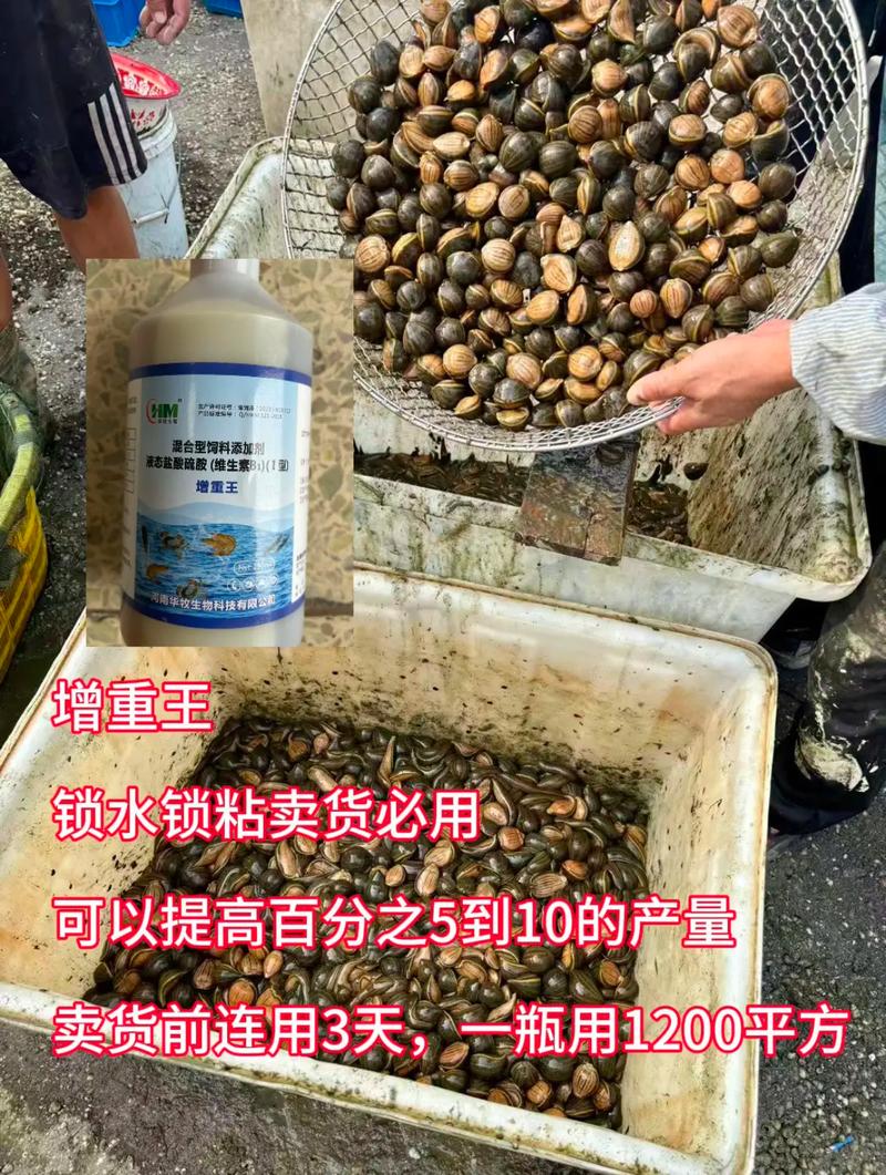 水蛭人工高产养殖技术要点有哪些？-图1