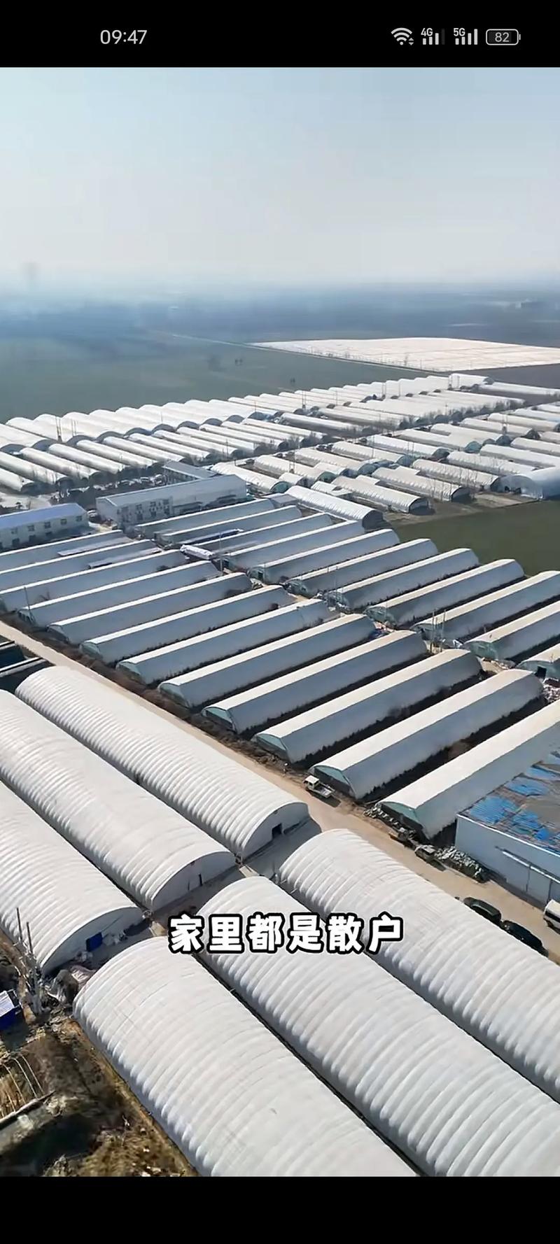 黄粉虫养殖技术视频，新手能学会吗？-图1