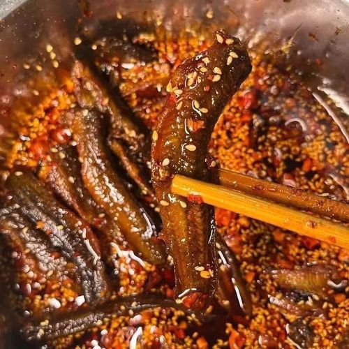 四川泥鳅价格最新行情-图3