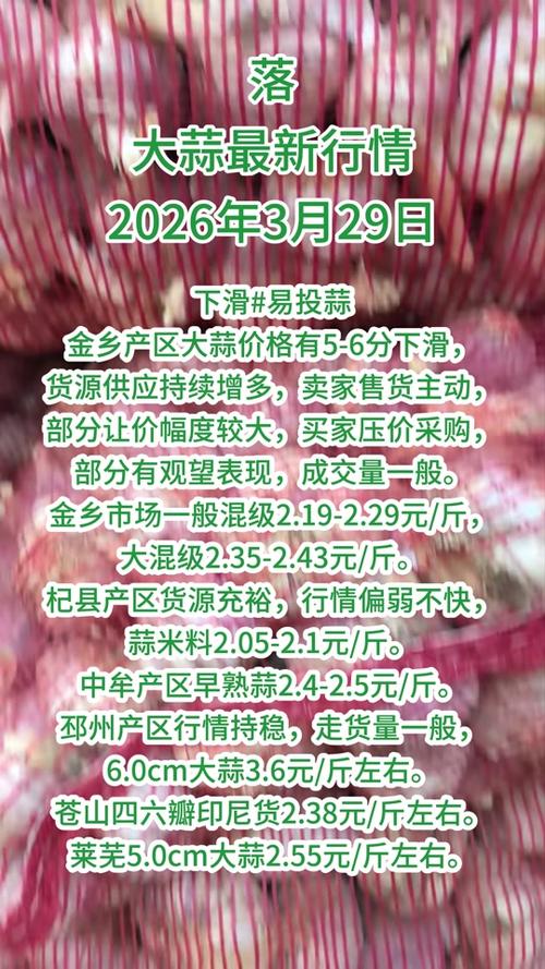 鲜大蒜价格现在怎么样？-图3