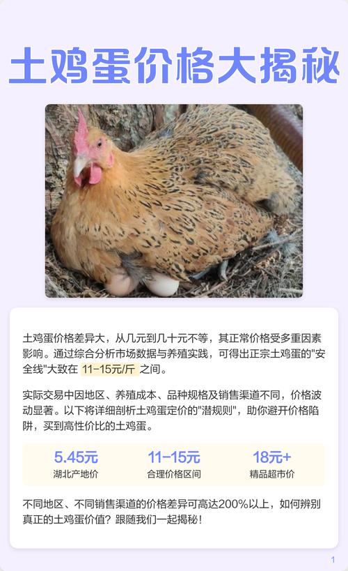 草鸡蛋为啥比土鸡蛋贵？-图2