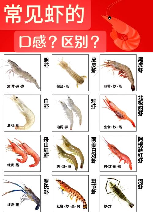 淡水虾为何比海水虾更贵？-图2