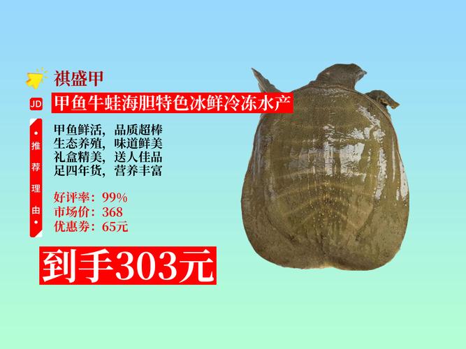 甲鱼价格一斤多少钱？-图3