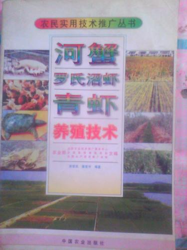 青虾养殖视频养殖技术-图2