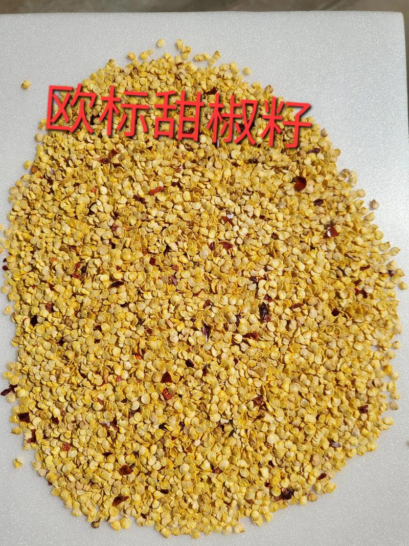 哪种辣椒种子品种更受欢迎？-图1