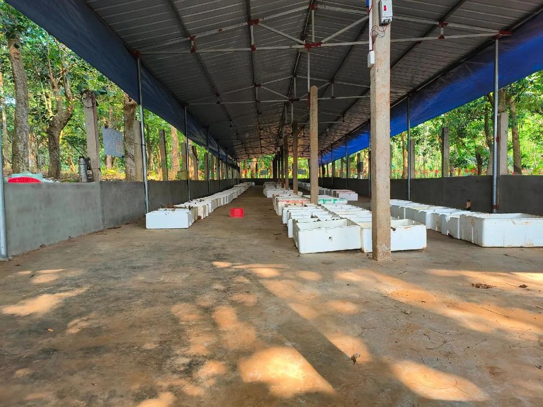 农广天地养殖技术视频有哪些干货？-图1