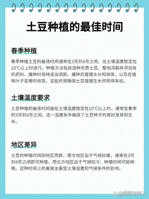 马铃薯如何实现高产栽培？-图3