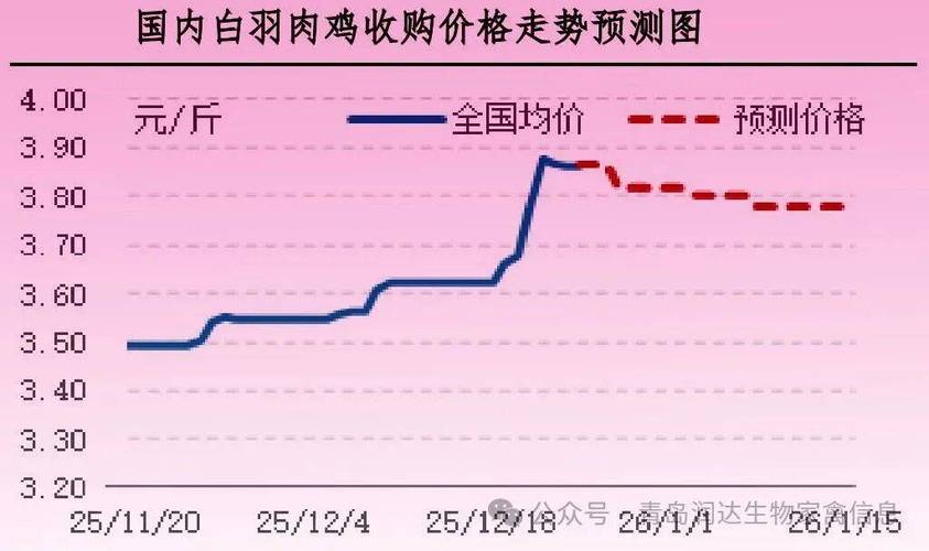 河南毛鸡价格行情将如何走势？-图1